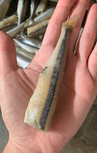 Load image into Gallery viewer, Smelt (Wild Caught)