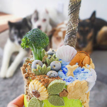 Load image into Gallery viewer, Green Lipped Mussels