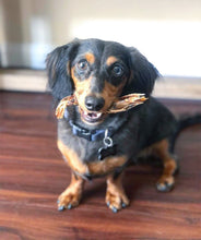 Load image into Gallery viewer, Shrimp