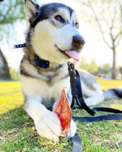 Load image into Gallery viewer, Pig Ears