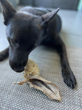 Load image into Gallery viewer, Lamb Ears (Furry &amp; Non Fur)