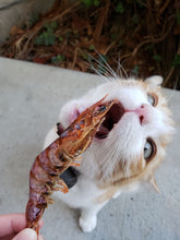 Load image into Gallery viewer, Shrimp