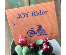 Load image into Gallery viewer, Joy Rider Bicycle