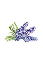 Load image into Gallery viewer, Hand Soap | Soothing Herbs