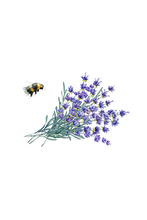 Load image into Gallery viewer, Linen Spray | Lavender