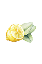 Load image into Gallery viewer, Dish Soap | Lemon &amp; Eucalyptus