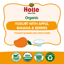 Load image into Gallery viewer, Holle Organic Yogurt Pouches - Mango
