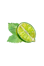 Load image into Gallery viewer, Hand Soap | Invigorating