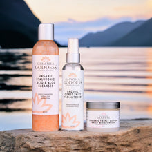 Load image into Gallery viewer, Organic 3 Step Anti-Aging Skin Care Kit - Cleanse, Tone, Hydrate