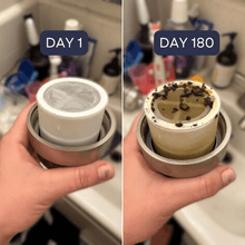 Load image into Gallery viewer, Replacement Shower Filter Cartridges