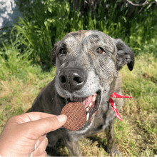 Load image into Gallery viewer, Beef Chips Dog Treats | Single-Ingredient Healthy Treats for Dogs