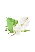 Load image into Gallery viewer, Lots of Purpose Spray Cleaner | Rosemary, Mint &amp; Tea Tree