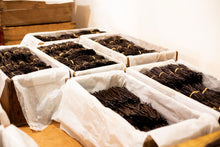 Load image into Gallery viewer, Burundi Vanilla Beans - Whole Grade A Vanilla Pods for Vanilla Extract and Baking