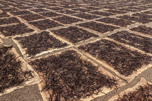 Load image into Gallery viewer, Rwanda Vanilla Beans Grade A Whole Pods