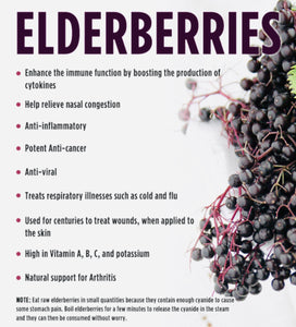 Black Elderberries Organic European dried